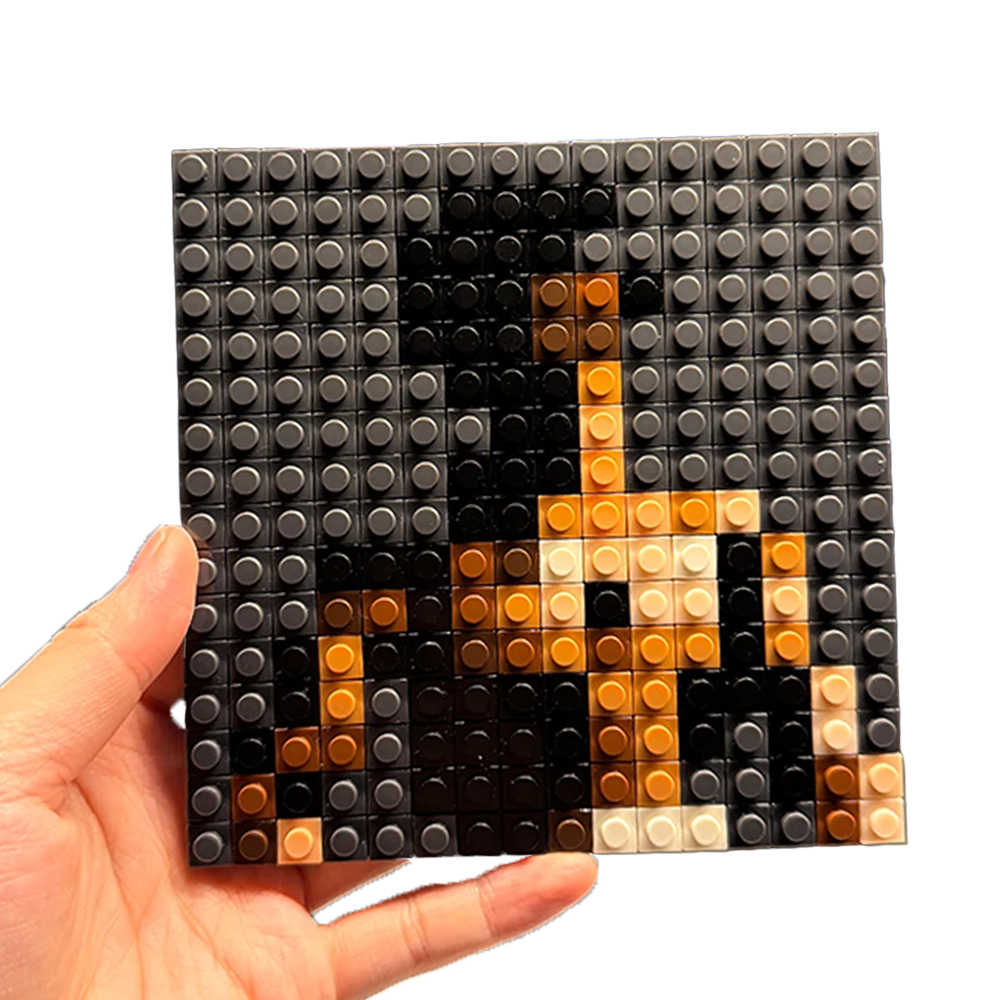 "Rodeo" Pixel Brick Album Cover