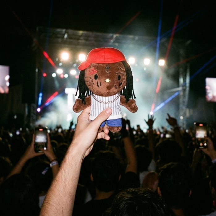 A plush raised in a concert crowd