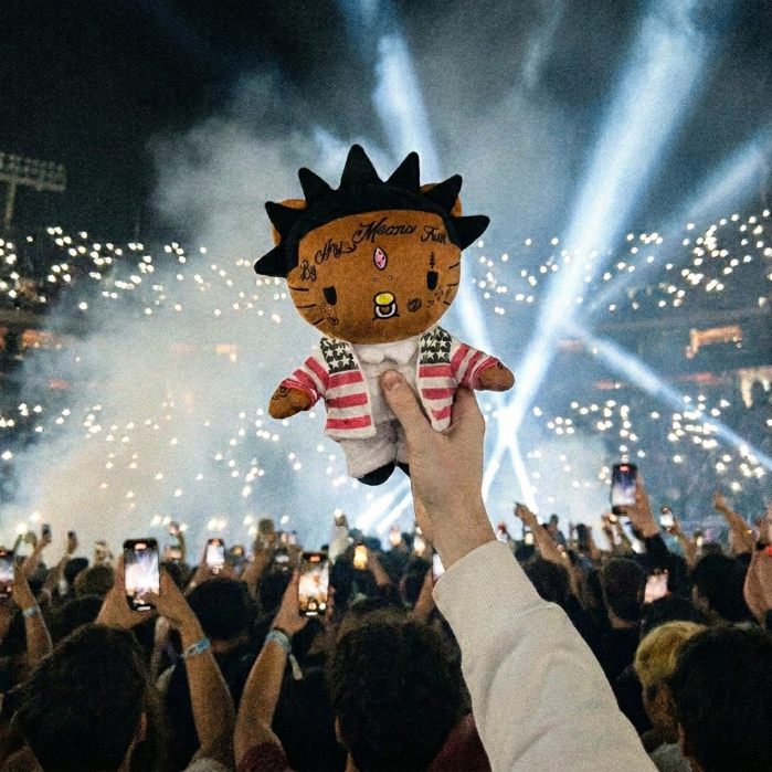 A plush raised in a concert crowd