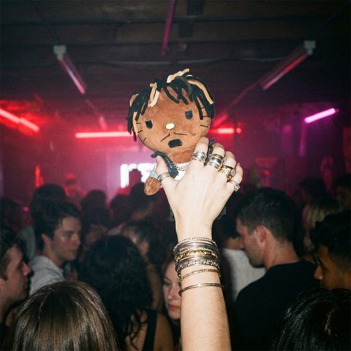 A plush raised in a concert crowd