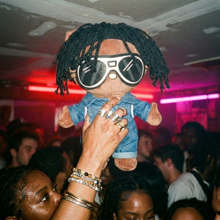 A plush raised in a concert crowd