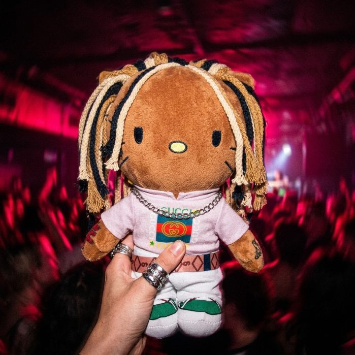A plush raised in a concert crowd