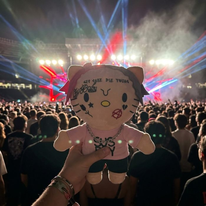 A plush raised in a concert crowd