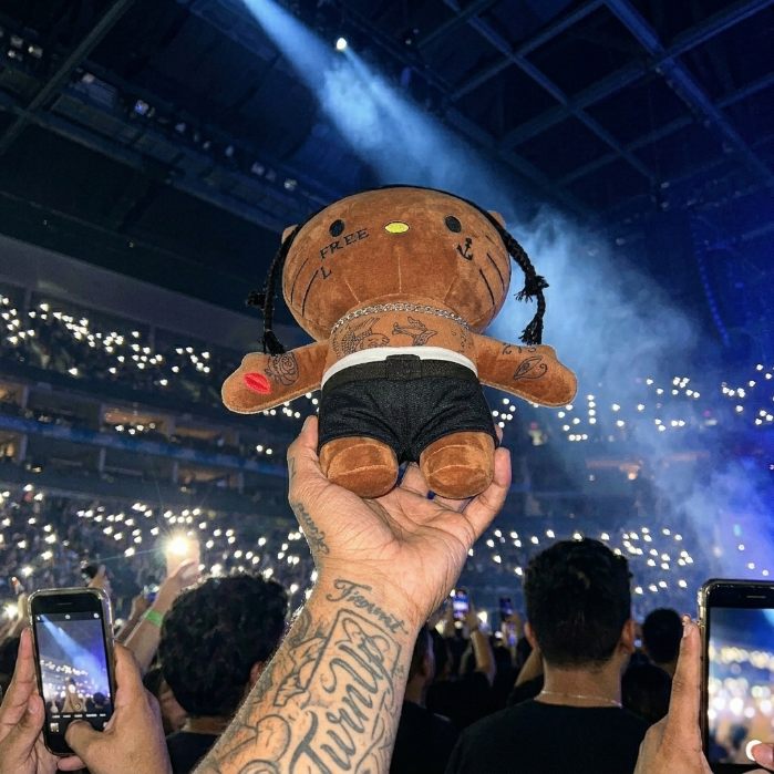 A plush raised in a concert crowd